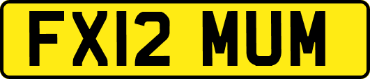 FX12MUM