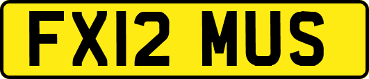 FX12MUS
