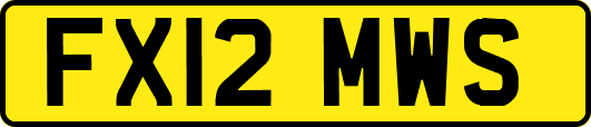 FX12MWS