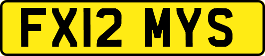 FX12MYS