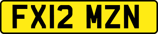 FX12MZN