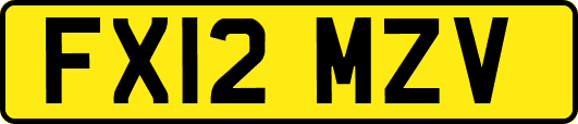 FX12MZV