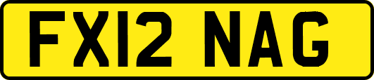 FX12NAG