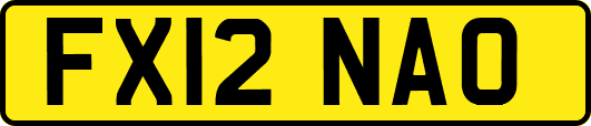 FX12NAO