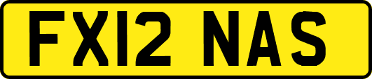 FX12NAS