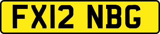 FX12NBG