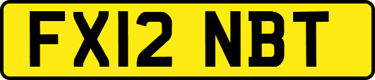 FX12NBT