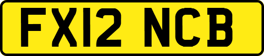 FX12NCB
