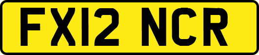 FX12NCR