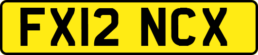 FX12NCX