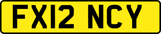 FX12NCY
