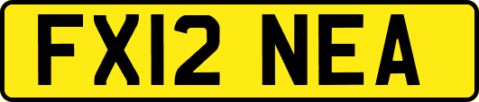 FX12NEA