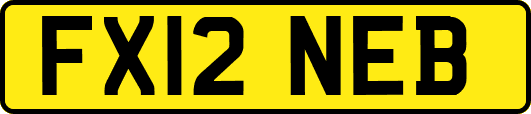 FX12NEB