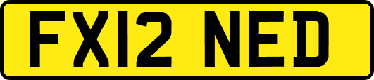 FX12NED