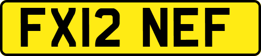 FX12NEF