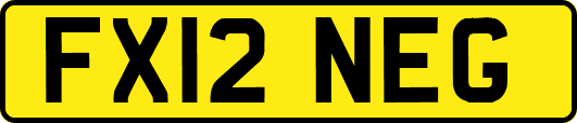 FX12NEG