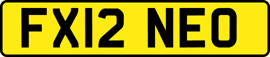 FX12NEO