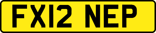 FX12NEP