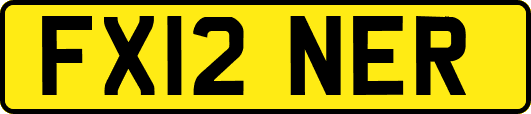 FX12NER