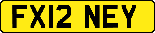 FX12NEY