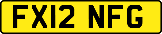 FX12NFG