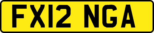 FX12NGA