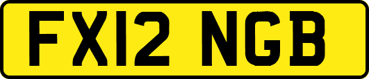 FX12NGB