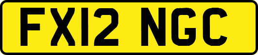 FX12NGC