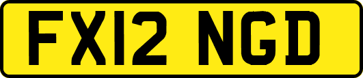 FX12NGD