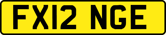 FX12NGE