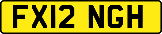 FX12NGH