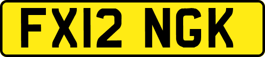 FX12NGK