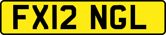 FX12NGL