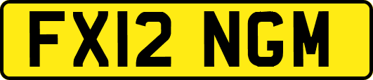 FX12NGM