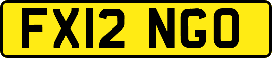 FX12NGO
