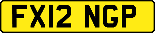 FX12NGP