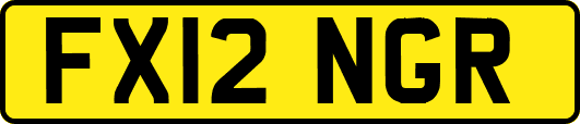 FX12NGR