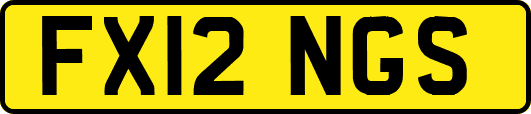 FX12NGS