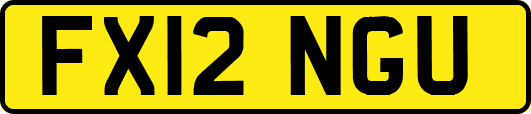 FX12NGU