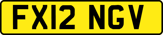 FX12NGV