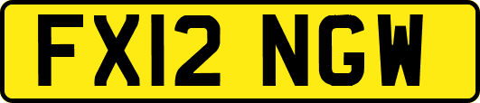 FX12NGW