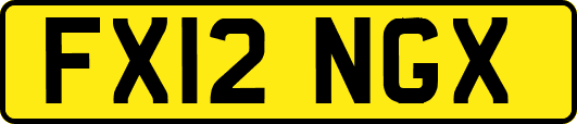 FX12NGX
