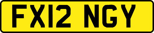 FX12NGY