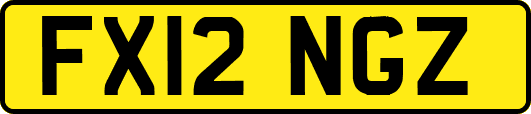 FX12NGZ