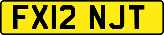 FX12NJT