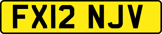 FX12NJV