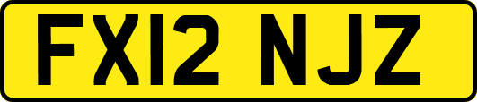 FX12NJZ