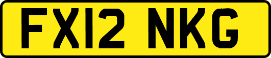 FX12NKG