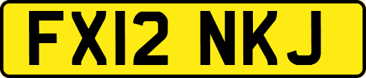 FX12NKJ