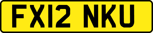 FX12NKU